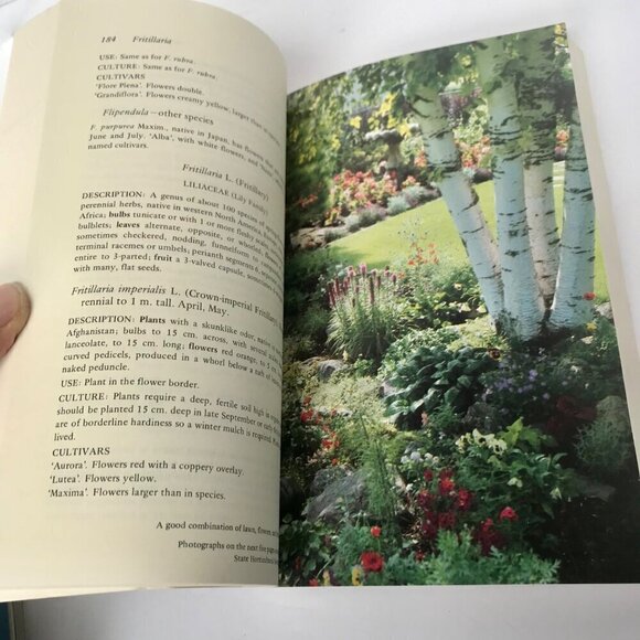 Flowers for Northern Gardens Book by Leon Snyder NICE! Gardening - Picture 6 of 7
